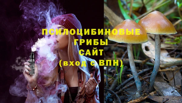 гашик Абаза