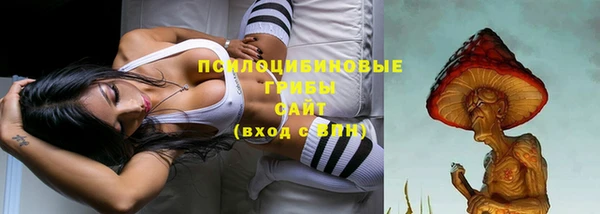 гашик Абаза