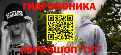 дживик Нальчик