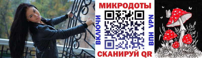 darknet телеграм  Донской  Псилоцибиновые грибы Psilocybine cubensis 
