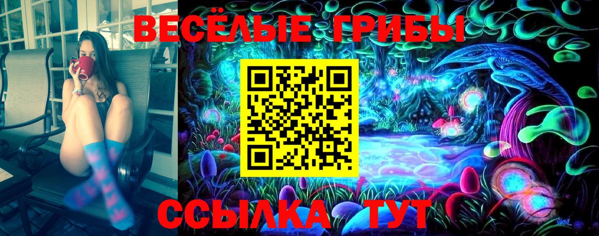 Донской  Галлюциногенные грибы Psilocybe  Псилоцибиновые грибы ЛСД  хочу   Вход с VPN 