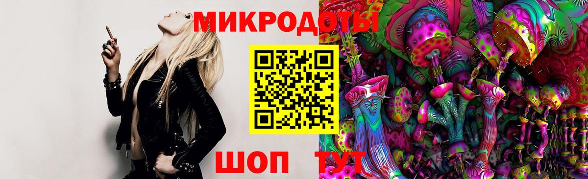 Галлюциногенные грибы Cubensis Донской
